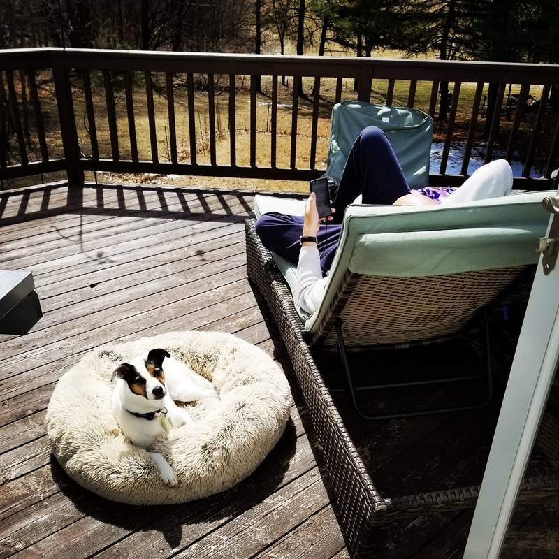 Cama Confortável para Cães e Gatos