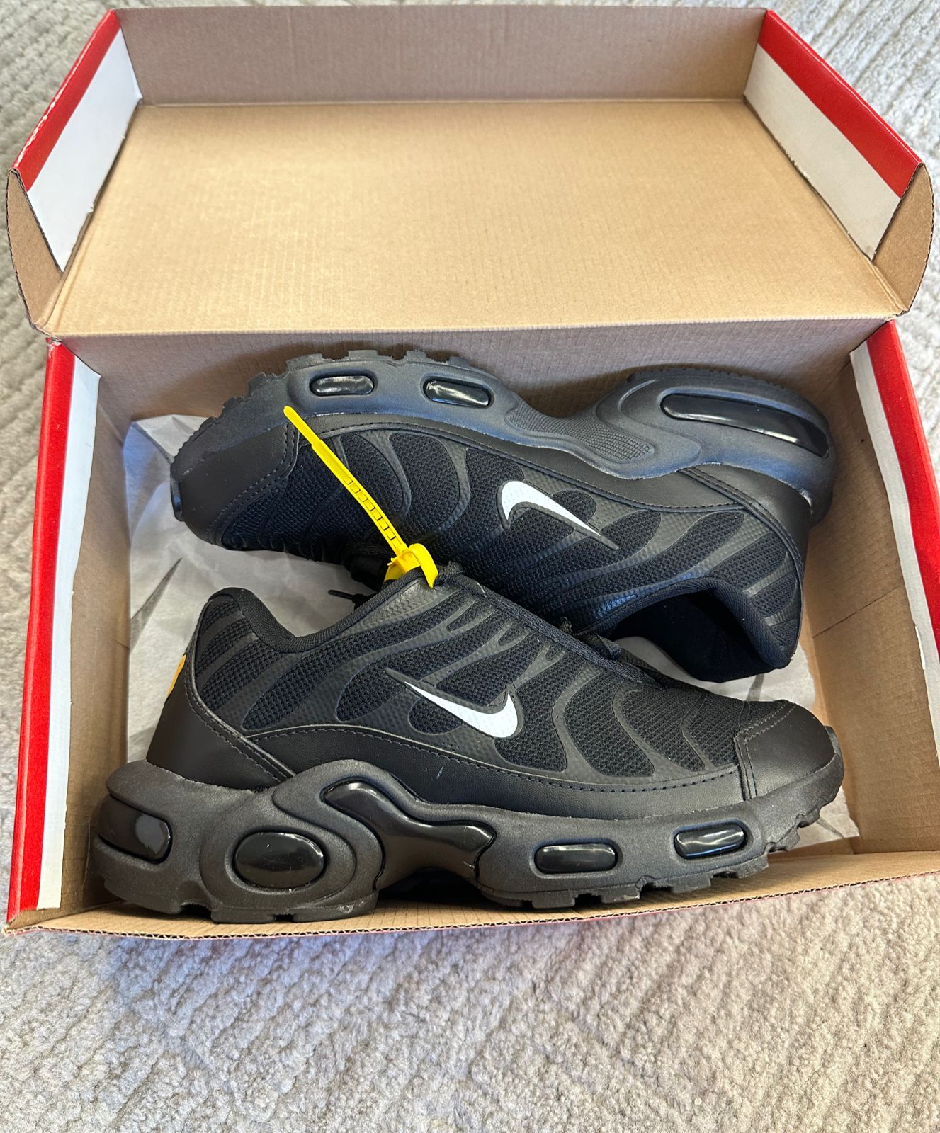 Tenis TN Air Max Variados