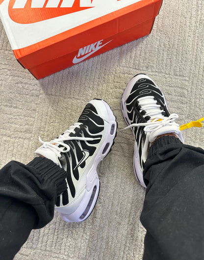 Tenis TN Air Max Variados