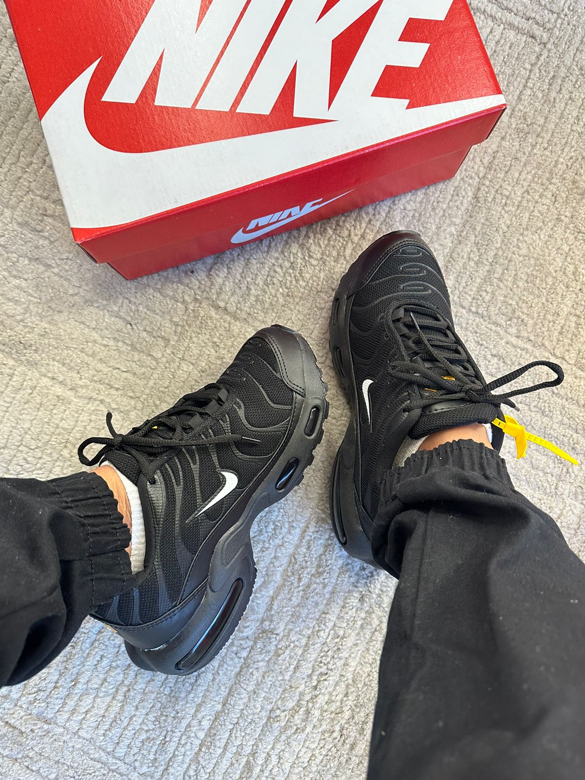 Tenis TN Air Max Variados