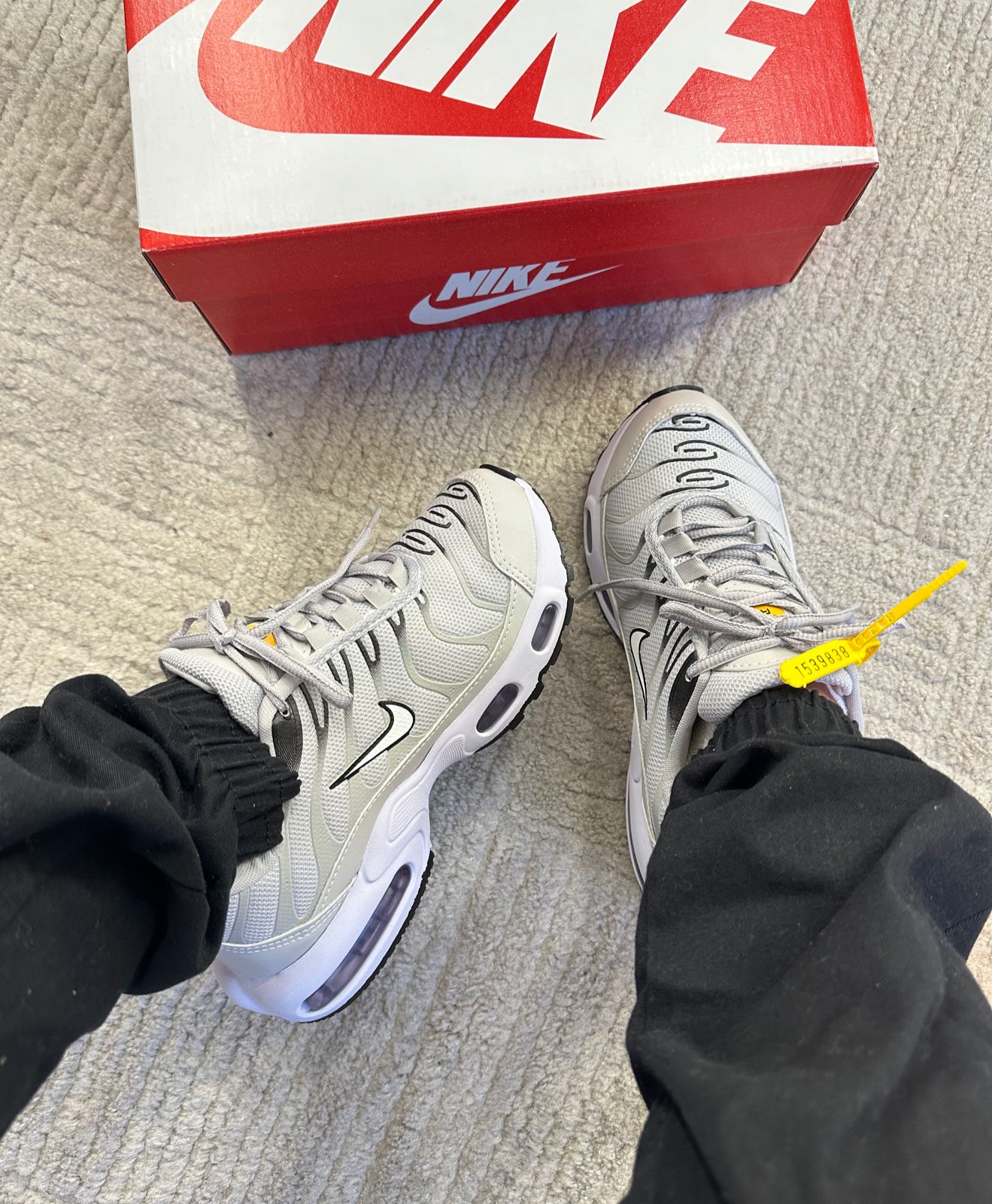 Tenis TN Air Max Variados