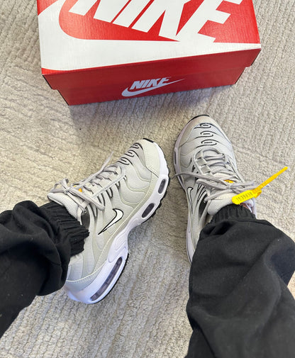 Tenis TN Air Max Variados