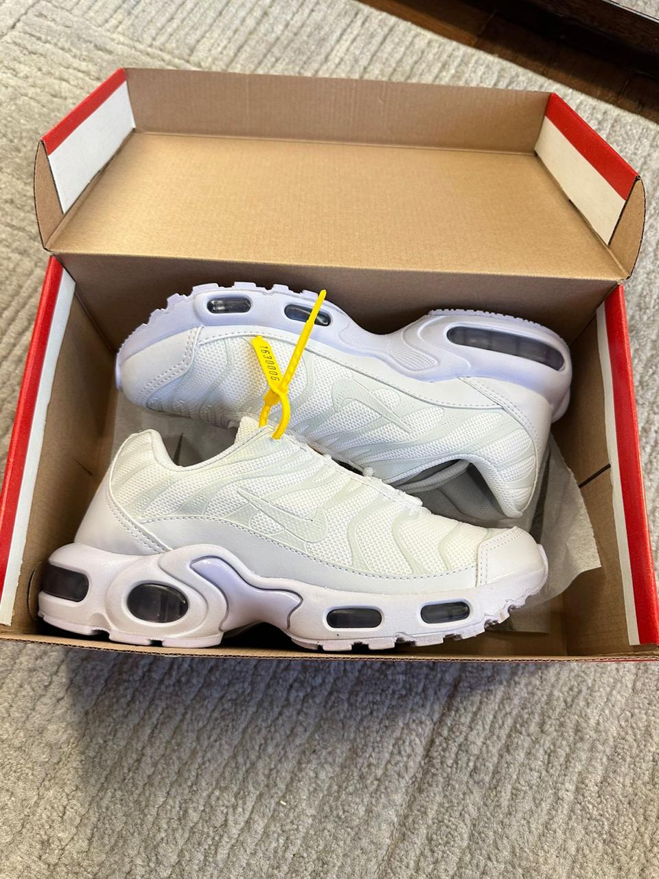 Tenis TN Air Max Variados